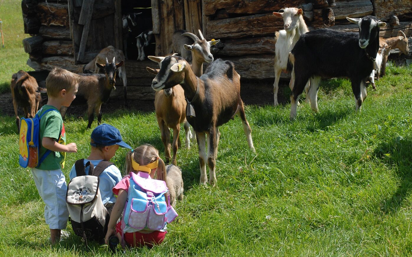 bambini valtellina