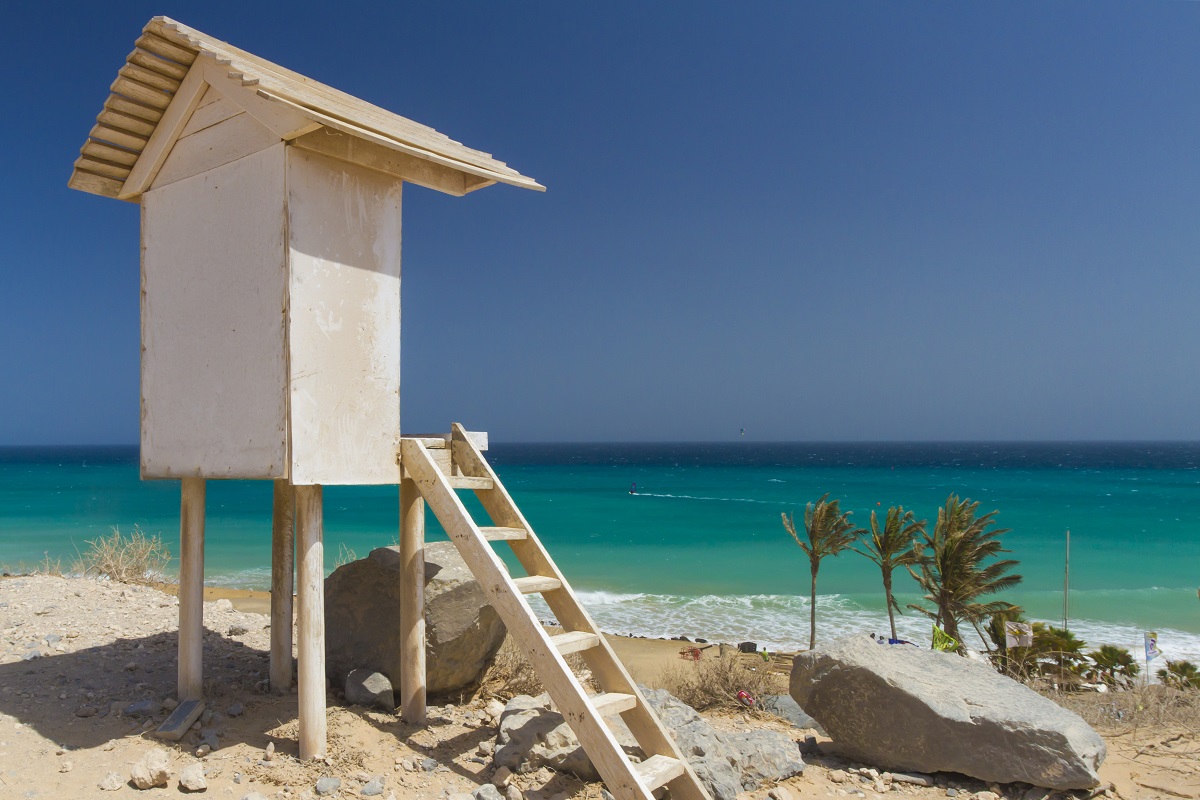 canarie natale
