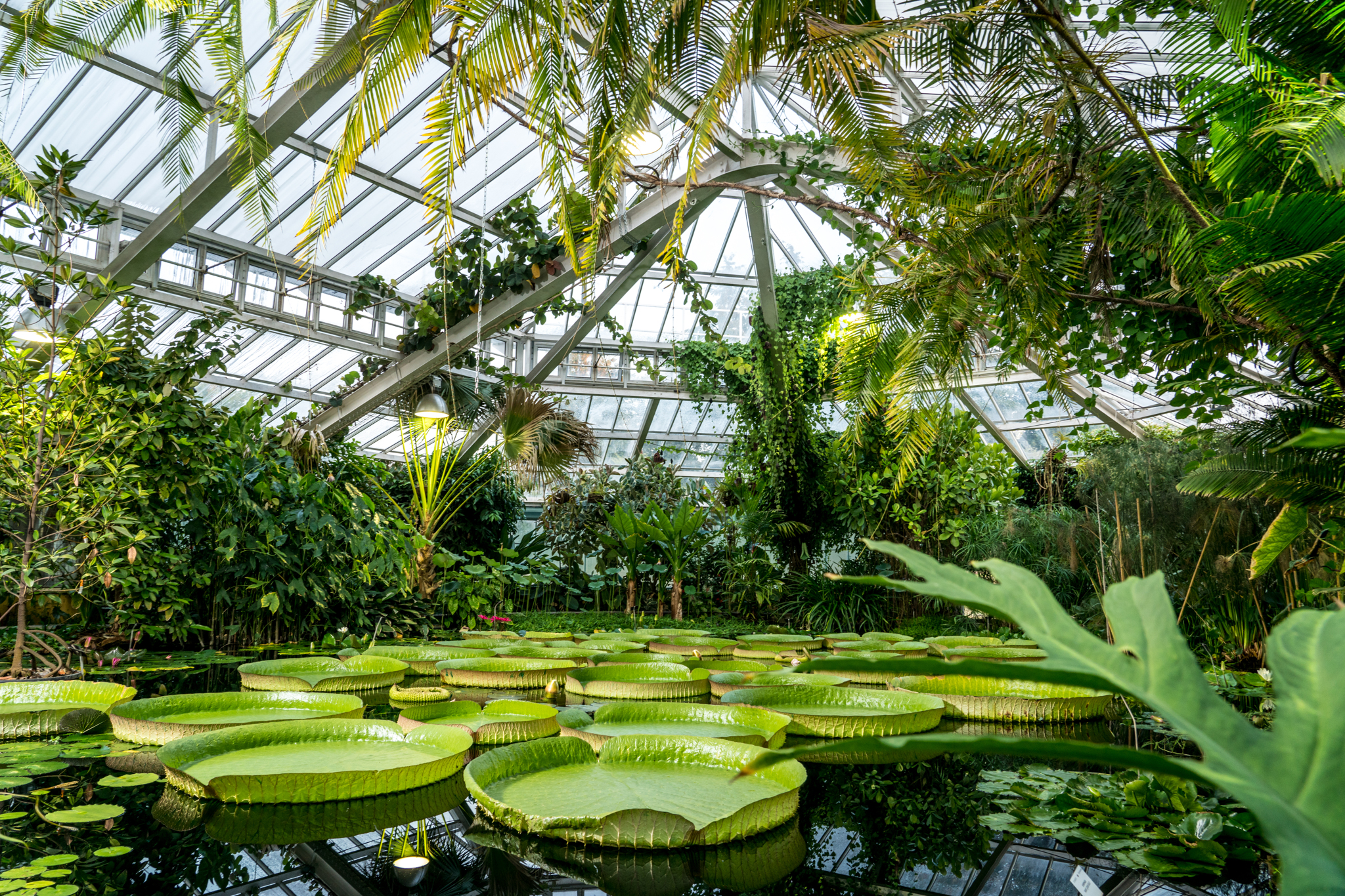 bruxelles giardino botanico