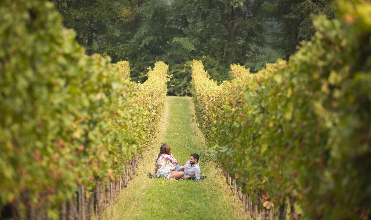 vitigni franciacorta brescia autunno