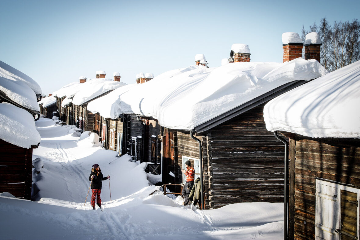sci Skellefteå lapponia