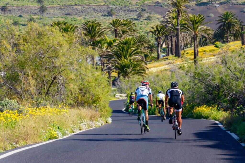 canarie in bici