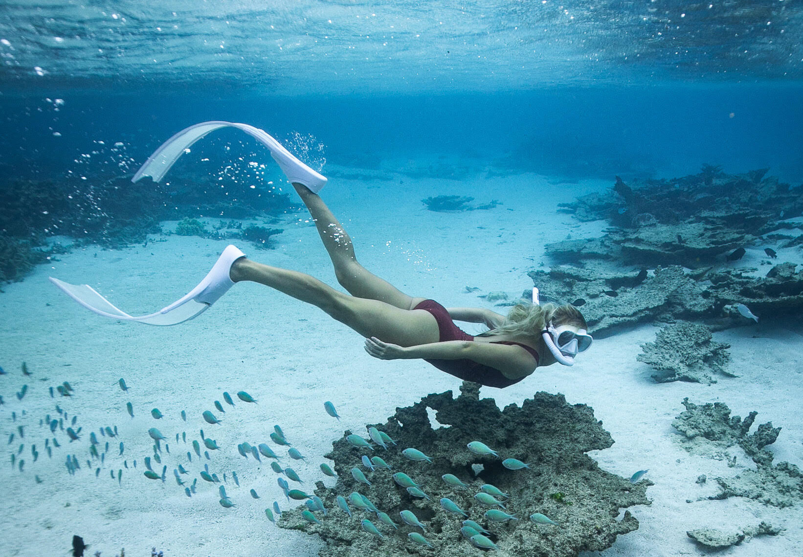mauritius immersioni