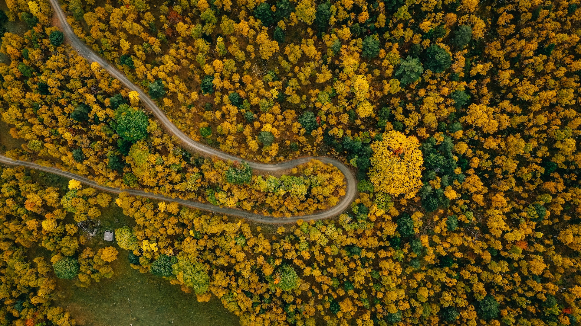 catalogna autunno