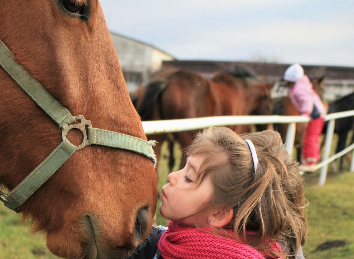 a cavallo nella natura